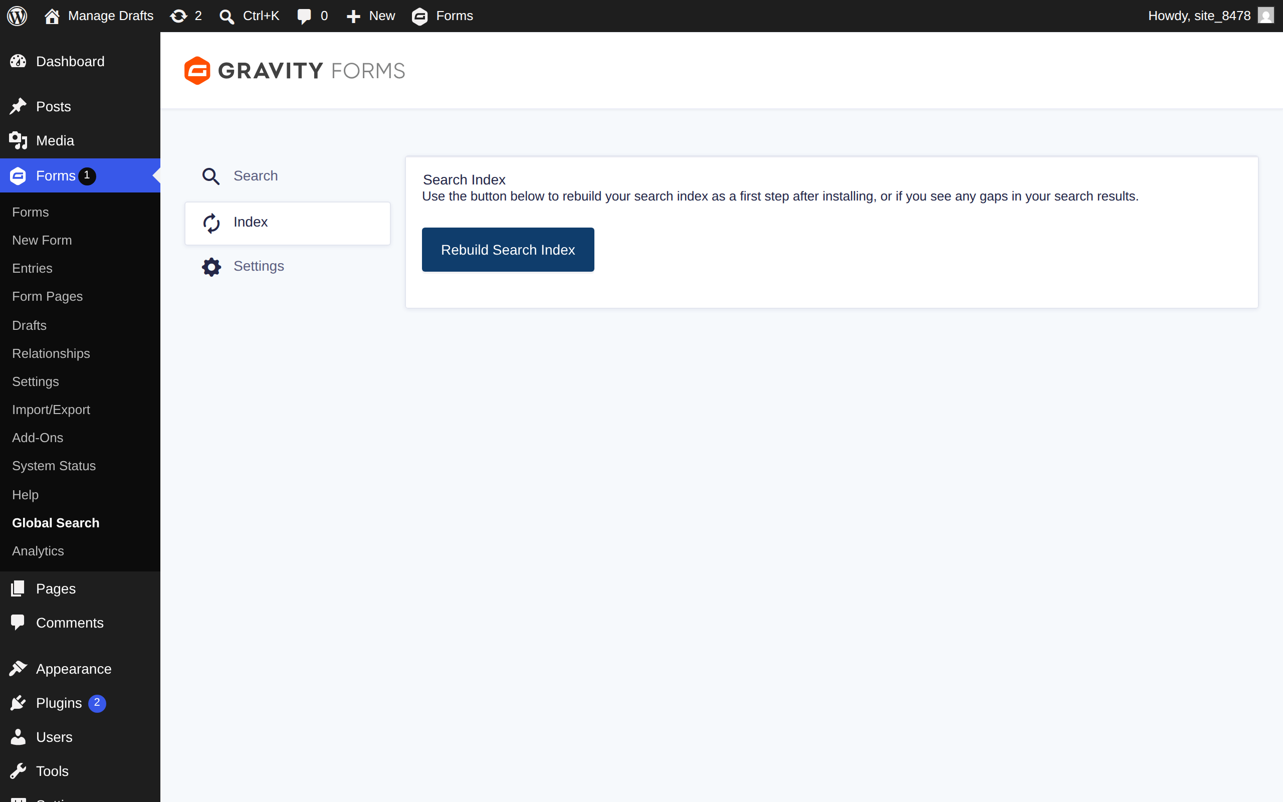 03 index tab — Global Search for Gravity Forms screenshot